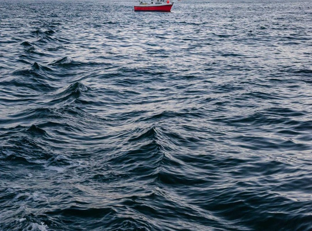 Safety and Legality: What Every User Needs to Know