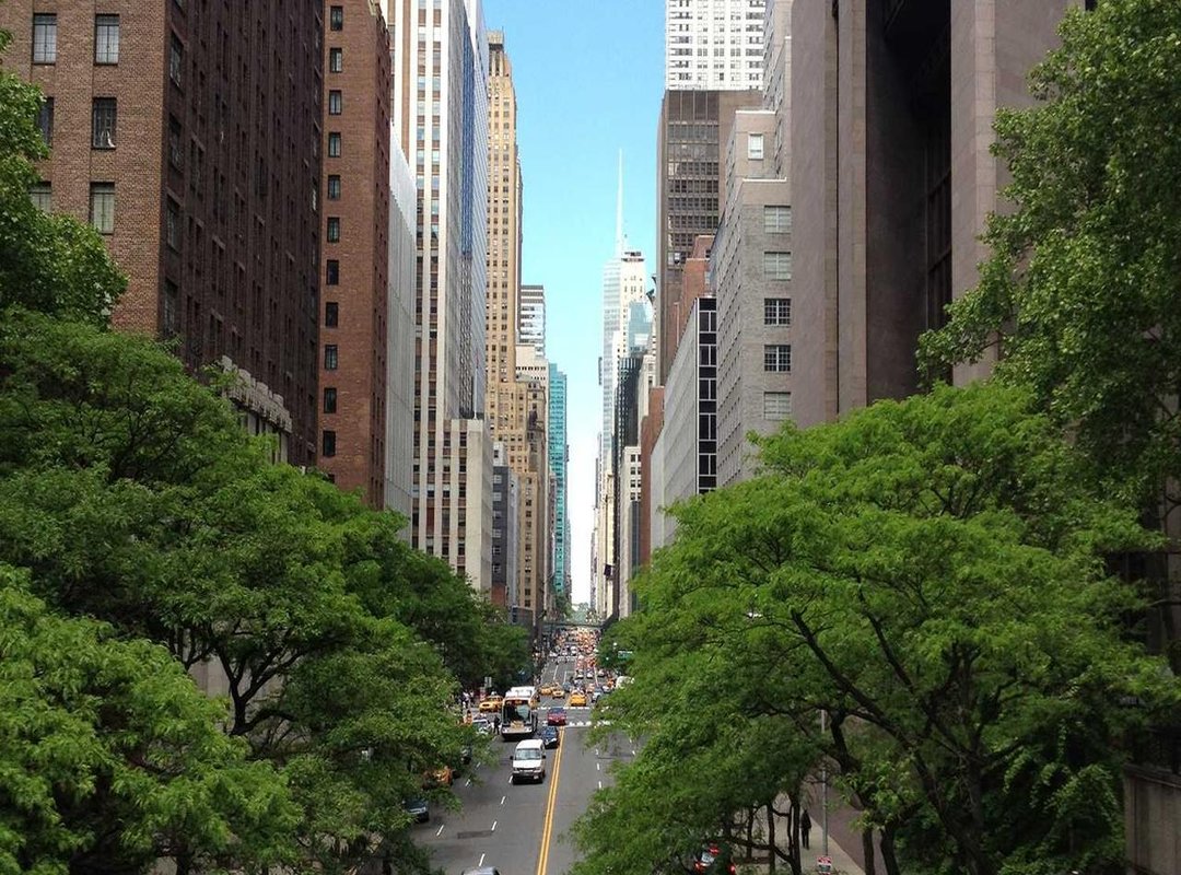 The Cultural Significance: More Than Just Words