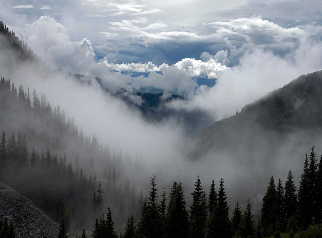 The Aftermath: Online Trauma and a Family's Fight for Change