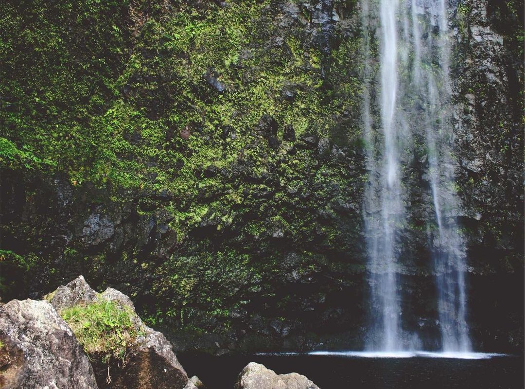 The Supporting Cast: Key Players in the Korhan and Şanlı Families