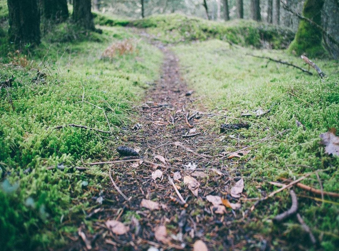 Defensive Statistics: Blocks, Steals, and Defensive Impact