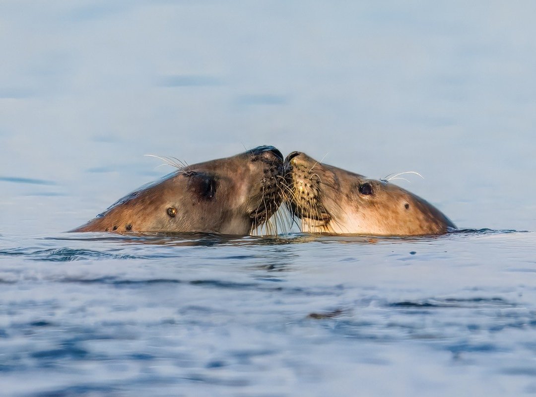 How to Recognize and Manage Toxic Life Gacha Behaviors