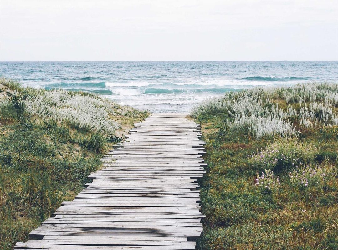 Fueling the Body: The Nutritional Blueprint for a Lean Physique