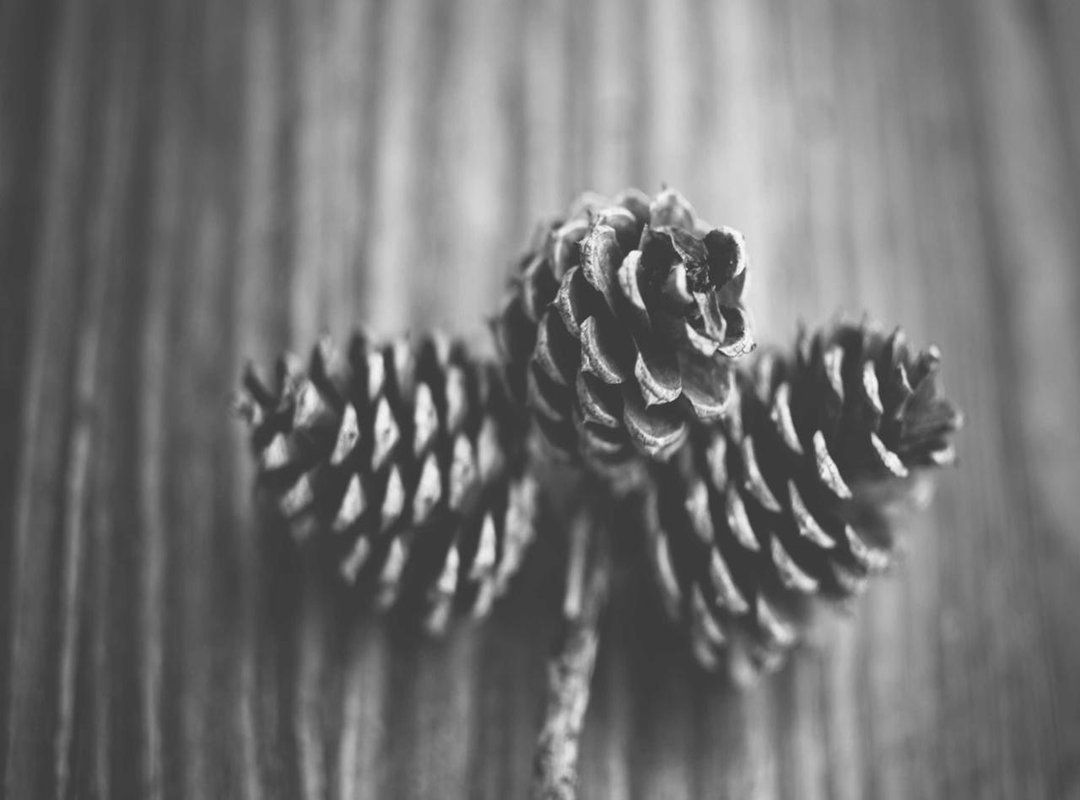 Analyzing the Aesthetic: What Made Amelia Warner Stand Out