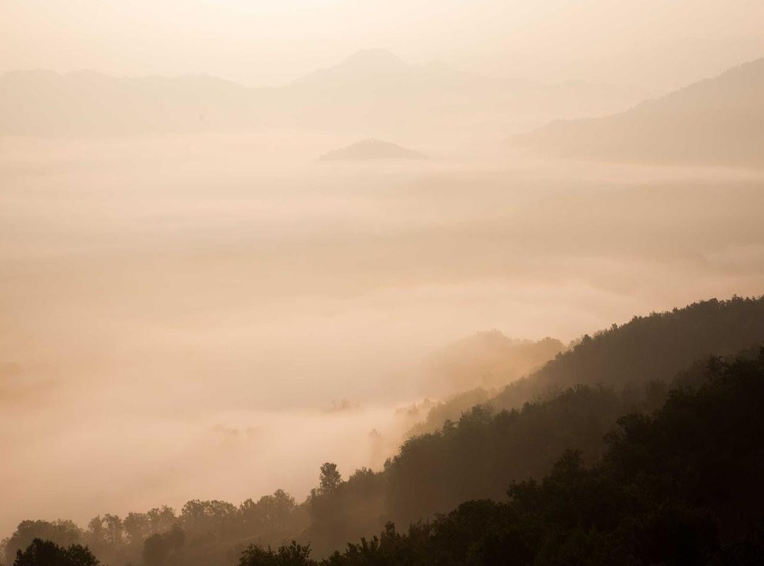 Nutrition Strategy: Fueling Muscle Growth and Definition