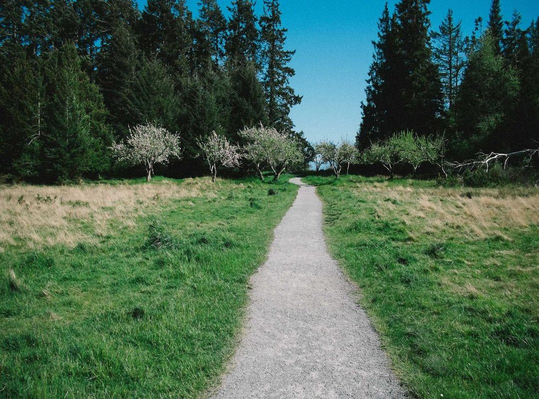 Beyond the Rink: Athlete Friendships and the Power of Downtime