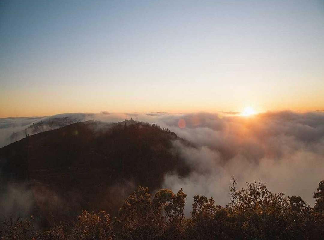 Who Is This Platform Actually Built For? (And Who Should Avoid It)