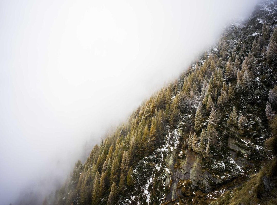 Our Top Picks: Iconic Anya Moments Perfect for a PP