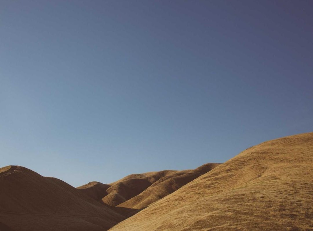 Beyond the Camera: Advocacy, Public Image, and Personal Life