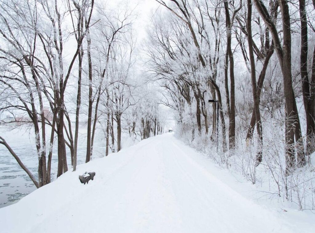 xxv xxviii, xxix xxvii xxiv, xxv